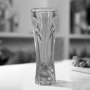 1851 Glass Flower Pot, Crystal Clear Vase for Living - 