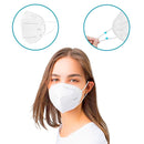 0258  N95 Reusable and Washable Anti Pollution/Virus Face Mask 